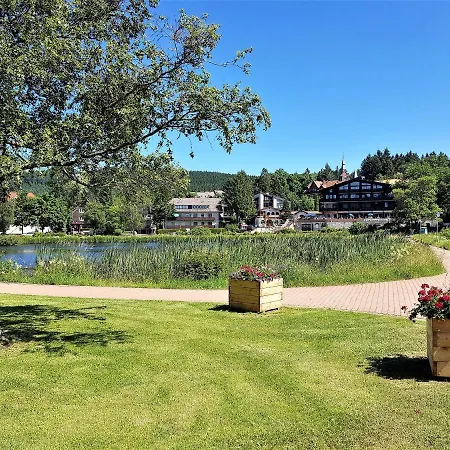 Gemutliche Ferienwohnung Mit Romantischem Flair Im Harz Goslar